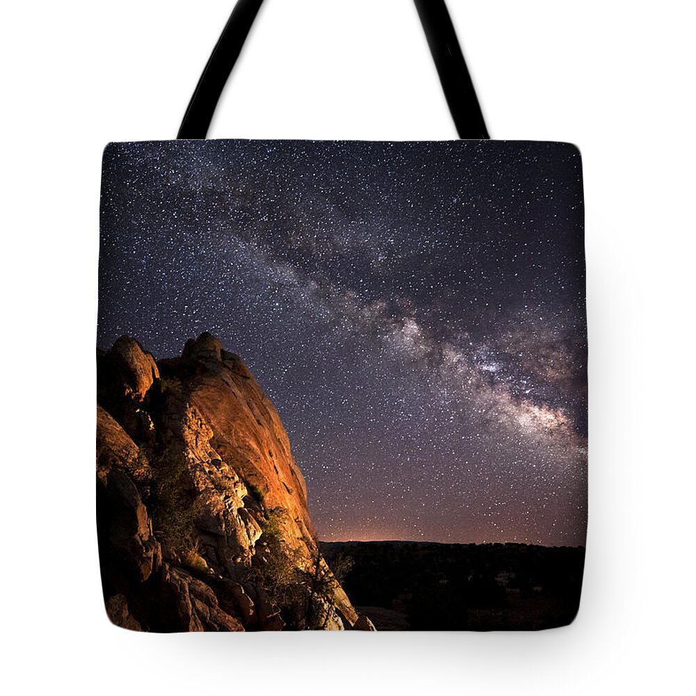 Dinosaur Tote Bag featuring the photograph I like this place and could willingly waste my time in it by Melany Sarafis