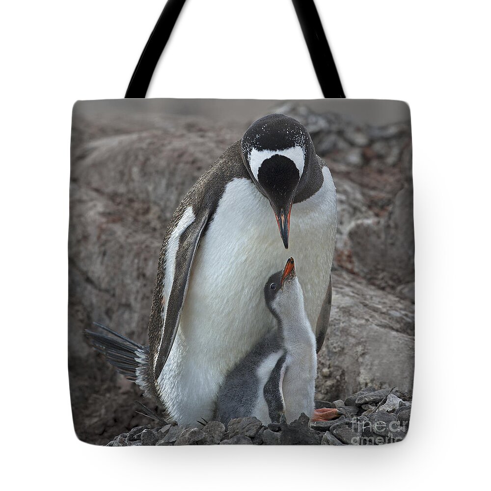 Festblues Tote Bag featuring the photograph I Love You... by Nina Stavlund