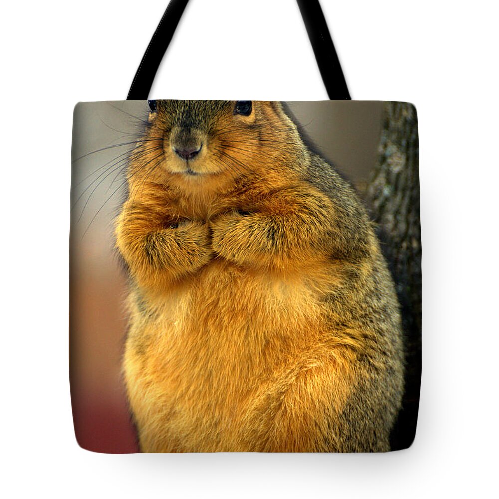 I Need A Hug Tote Bag featuring the photograph I Need A Hug by Edward Smith