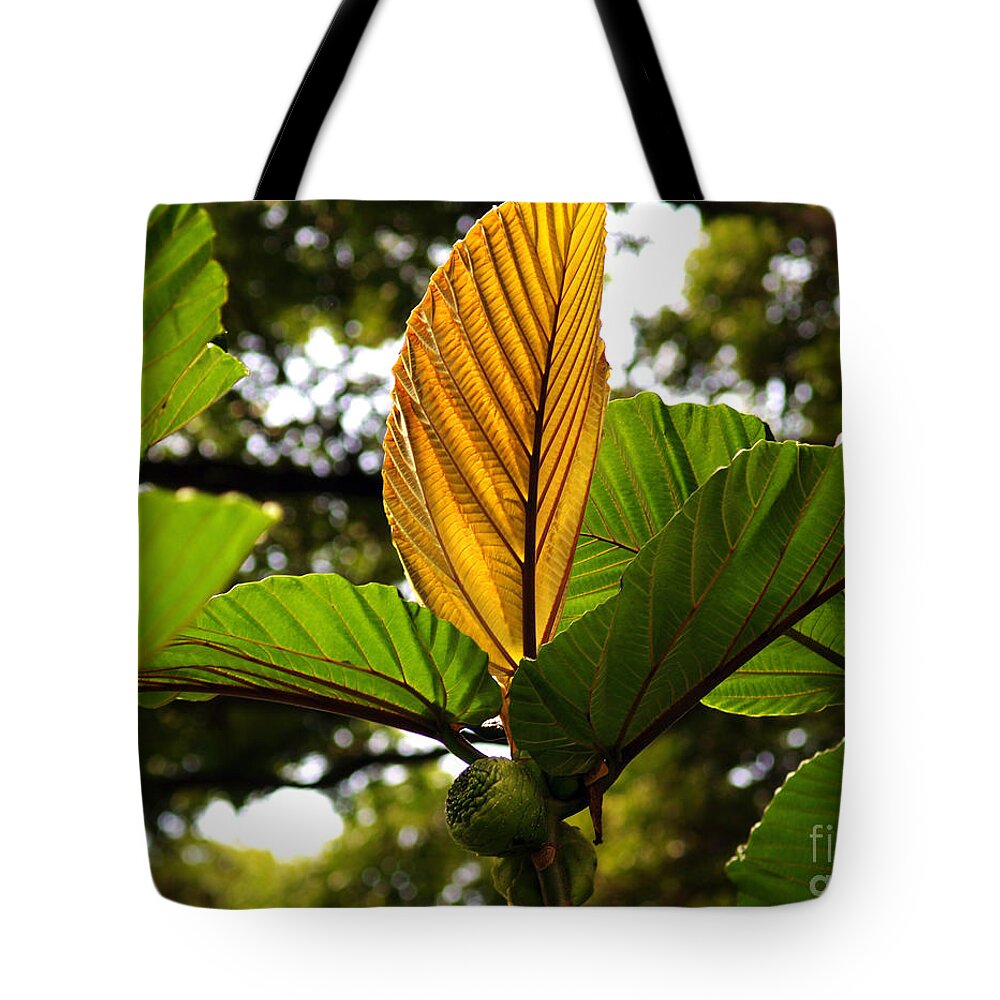 Fine Art Photography Tote Bag featuring the photograph I Stand Alone by Patricia Griffin Brett