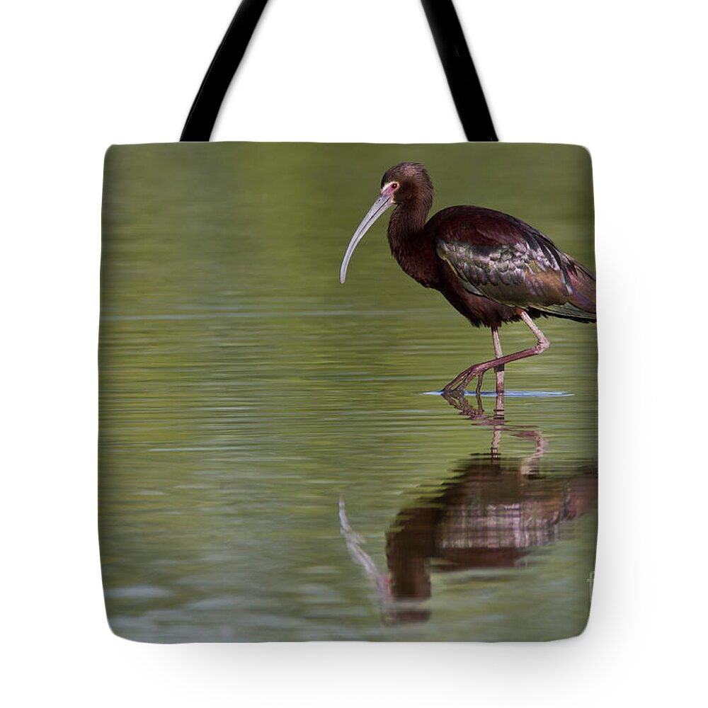 White-faced Ibis Tote Bag featuring the photograph Ibis reflection by Bryan Keil