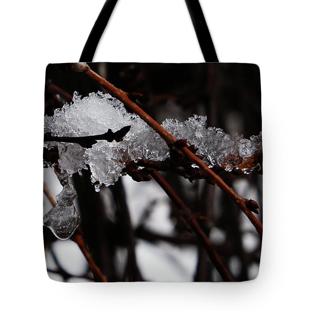 Snow Tote Bag featuring the photograph Ice 3 by Linda Shafer