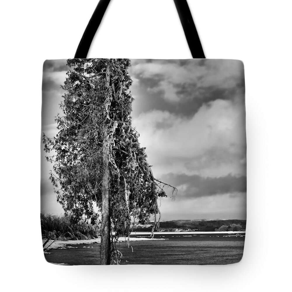 Ice Coated Tree Tote Bag by Louise Heusinkveld - Pixels