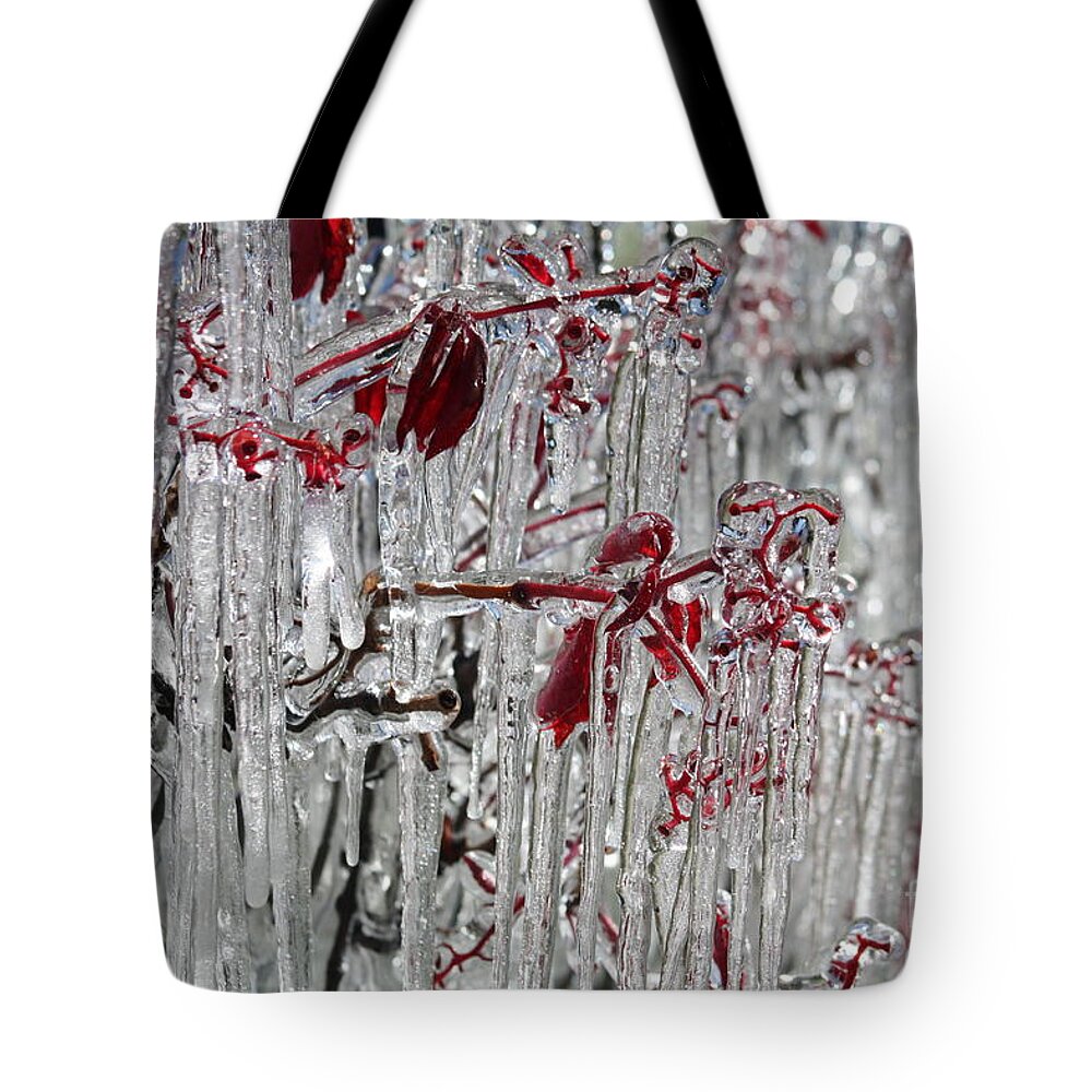 Ice Tote Bag featuring the photograph Ice Fence by Brandi Mavretic