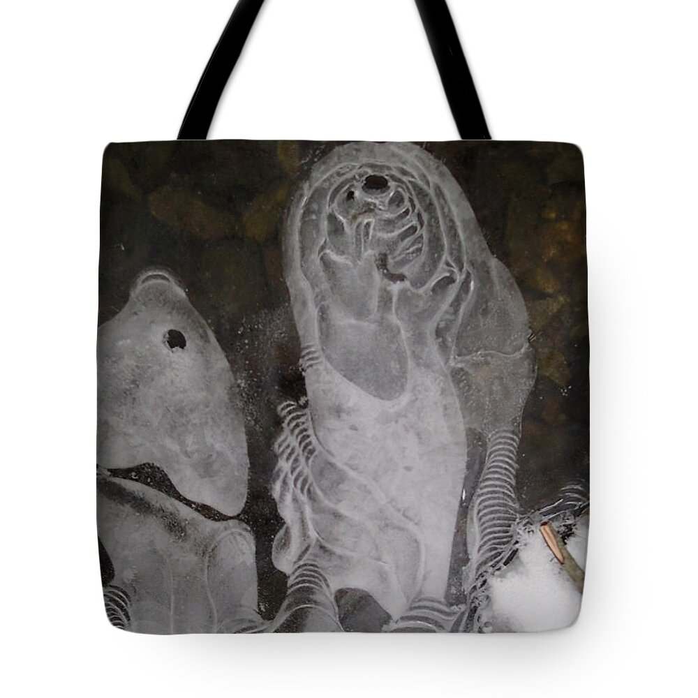 Winter Tote Bag featuring the photograph Ice Flow 5 by Robert Nickologianis