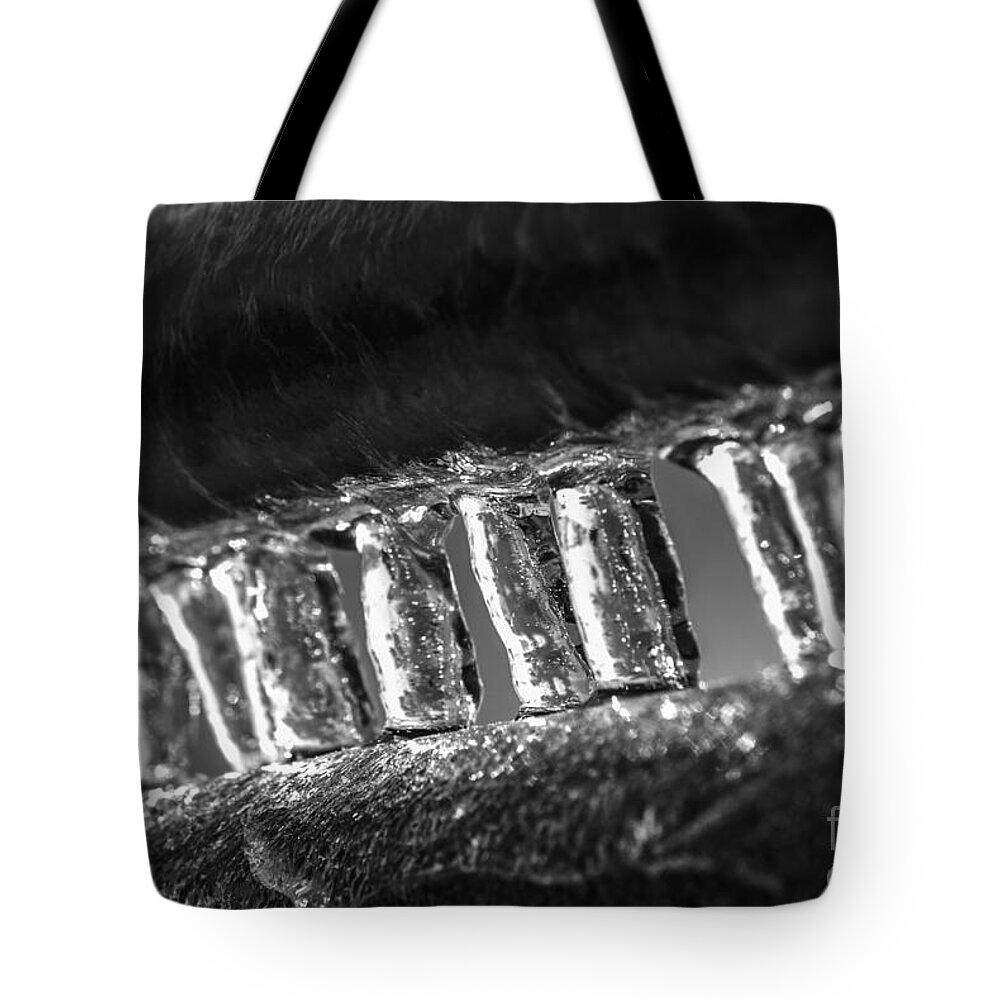 Ice Tote Bag featuring the photograph Ice by JT Lewis