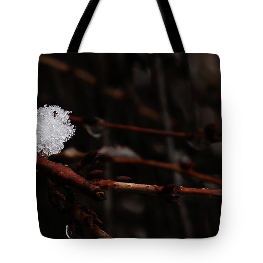 Snow Tote Bag featuring the photograph Ice by Linda Shafer