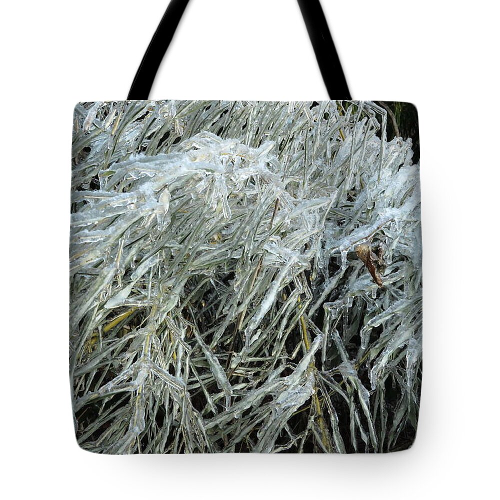 Ice Tote Bag featuring the photograph Ice On Bamboo Leaves by Daniel Reed