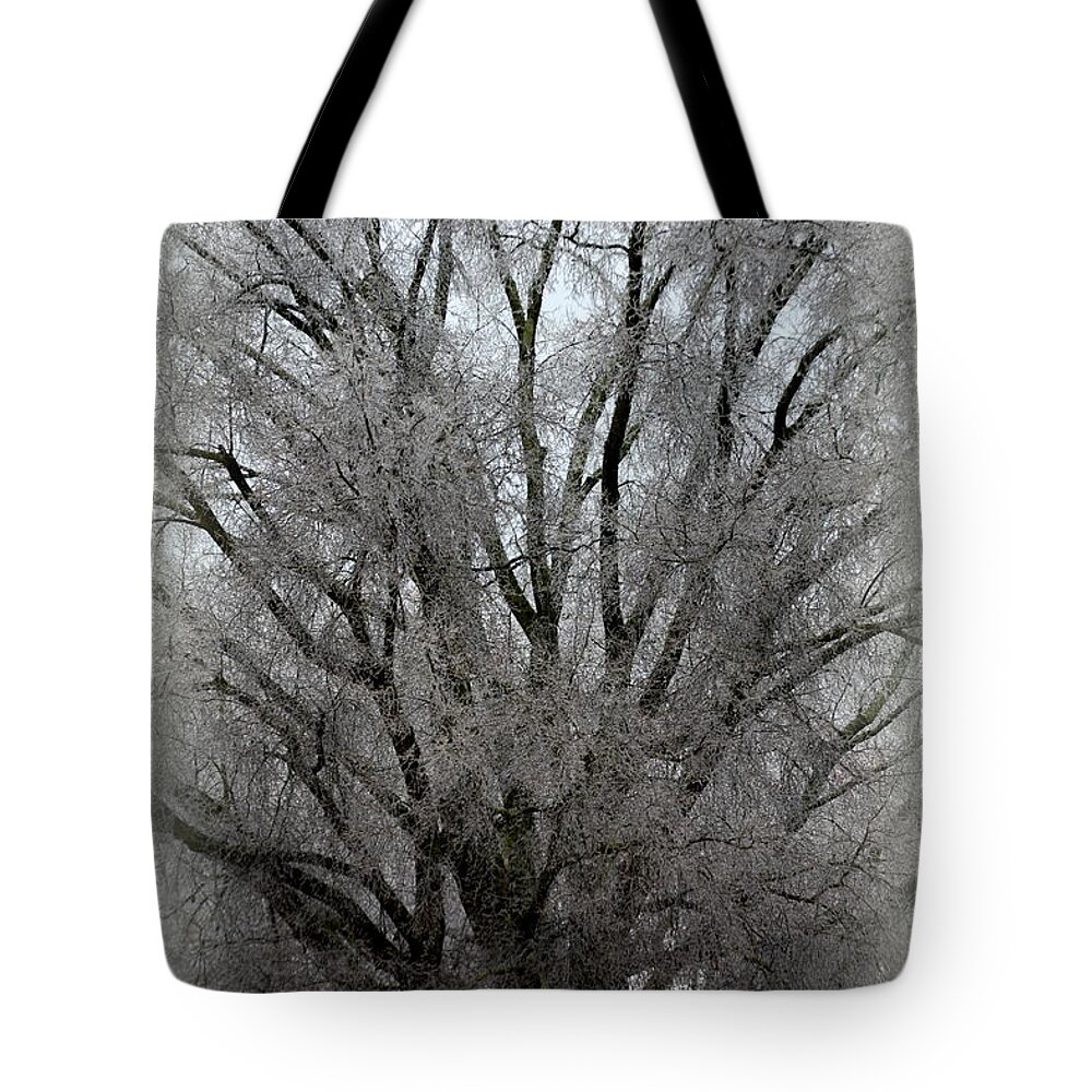 Ice Tote Bag featuring the photograph Ice Sculpture by Lisa Wooten