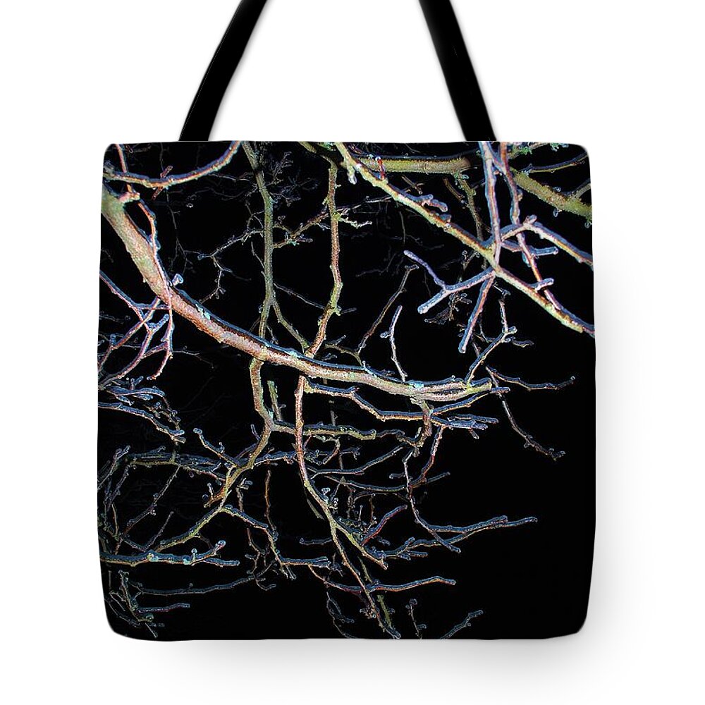 Ice Tote Bag featuring the photograph Ice Storm 4 by Susan Moore