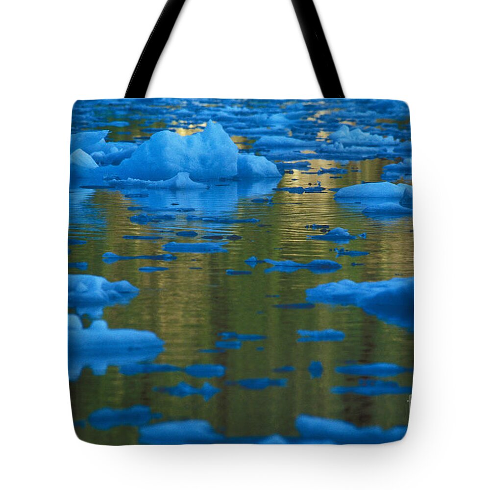 Glacier Tote Bag featuring the photograph Icebergs, Leconte Bay, Alaska by Ron Sanford