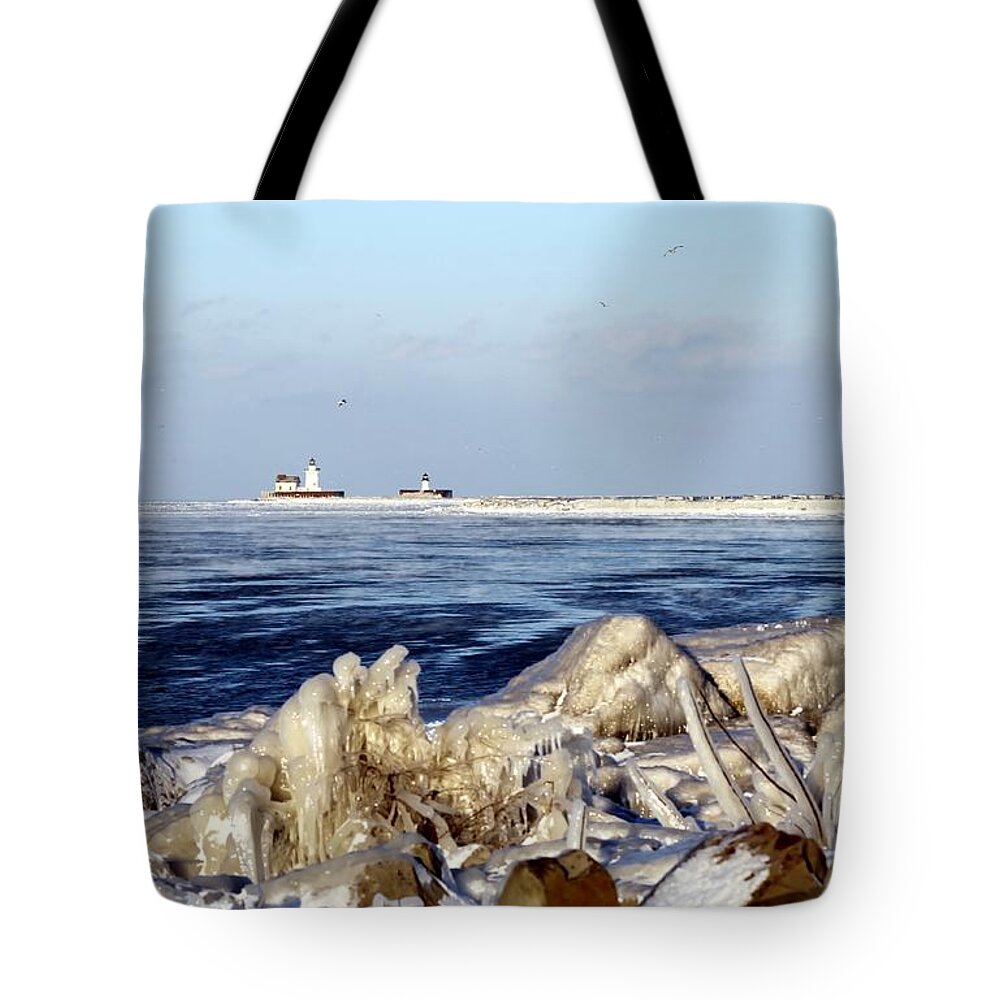 Water Tote Bag featuring the photograph Icey Lake Erie by Wendy Gertz