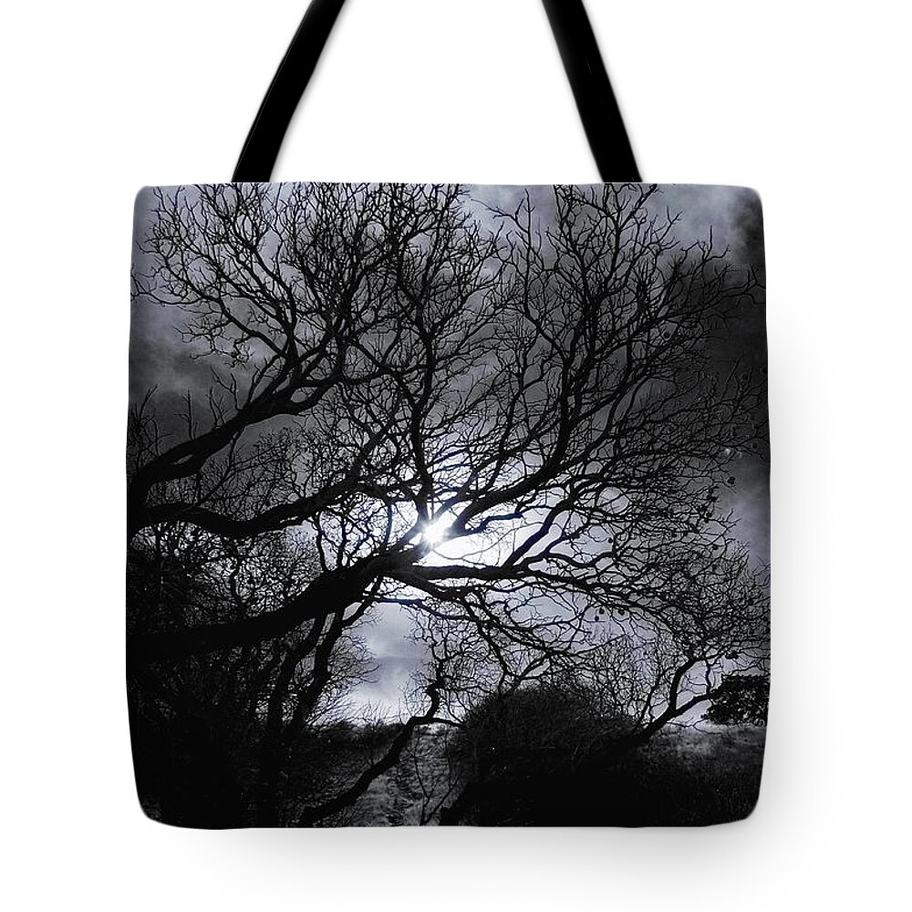 Legend Tote Bag featuring the photograph Ichabod's Pathway by Donna Blackhall