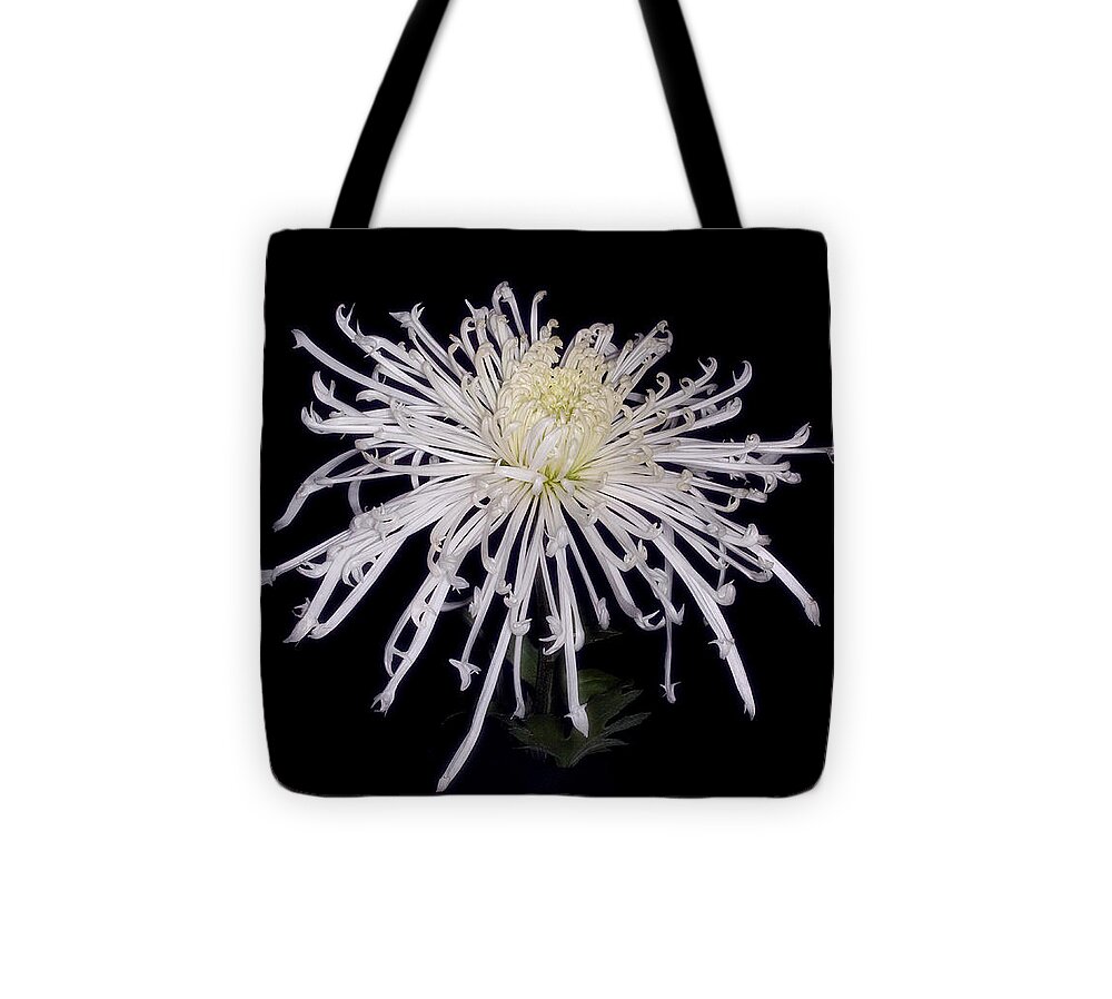 #flower #floral #floralphotography #white #spider Chrysanthemum #icicles #black Backgroun# Tote Bag featuring the photograph Icicles --A White Spider Chrysanthemum by Ann Jacobson