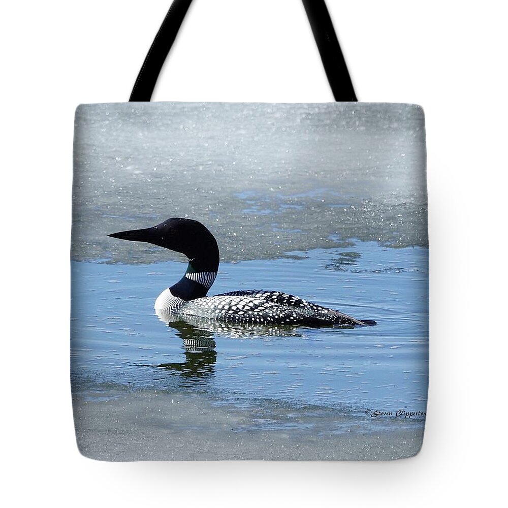 Loon Tote Bag featuring the photograph Icy Loon by Steven Clipperton