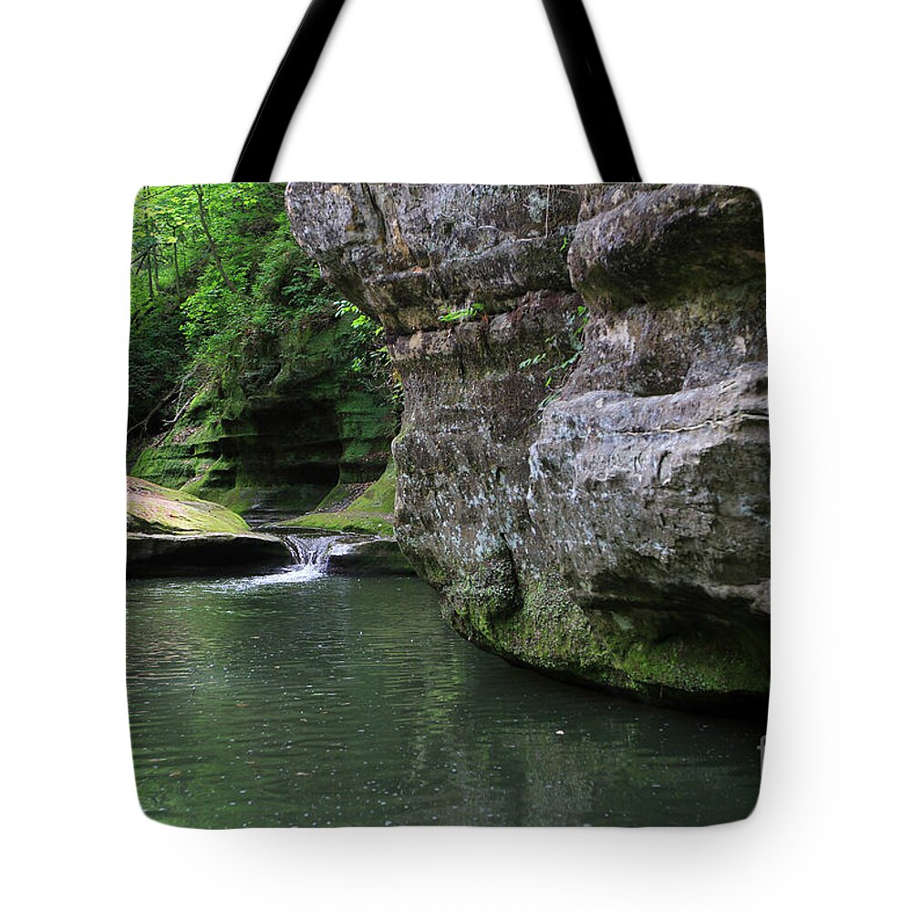 Landscape Tote Bag featuring the photograph Illinois Canyon May 2014 by Paula Guttilla