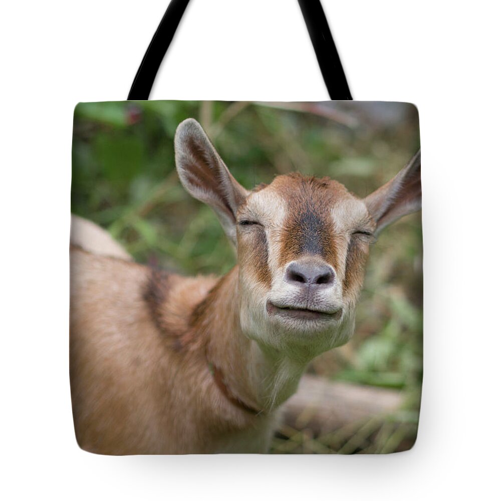 Animal Themes Tote Bag featuring the photograph Im Happy by Harumitsu Nobuta