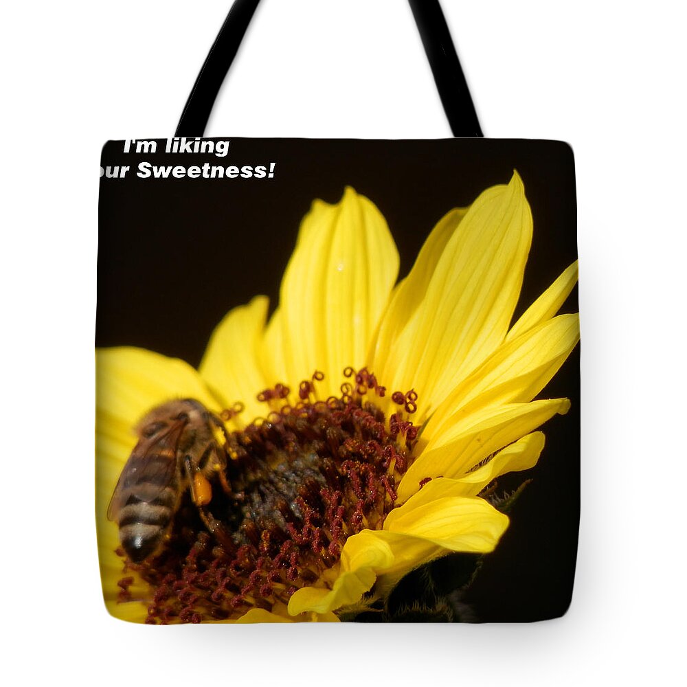Honey Tote Bag featuring the photograph Honey Bee Sweetness by Belinda Lee