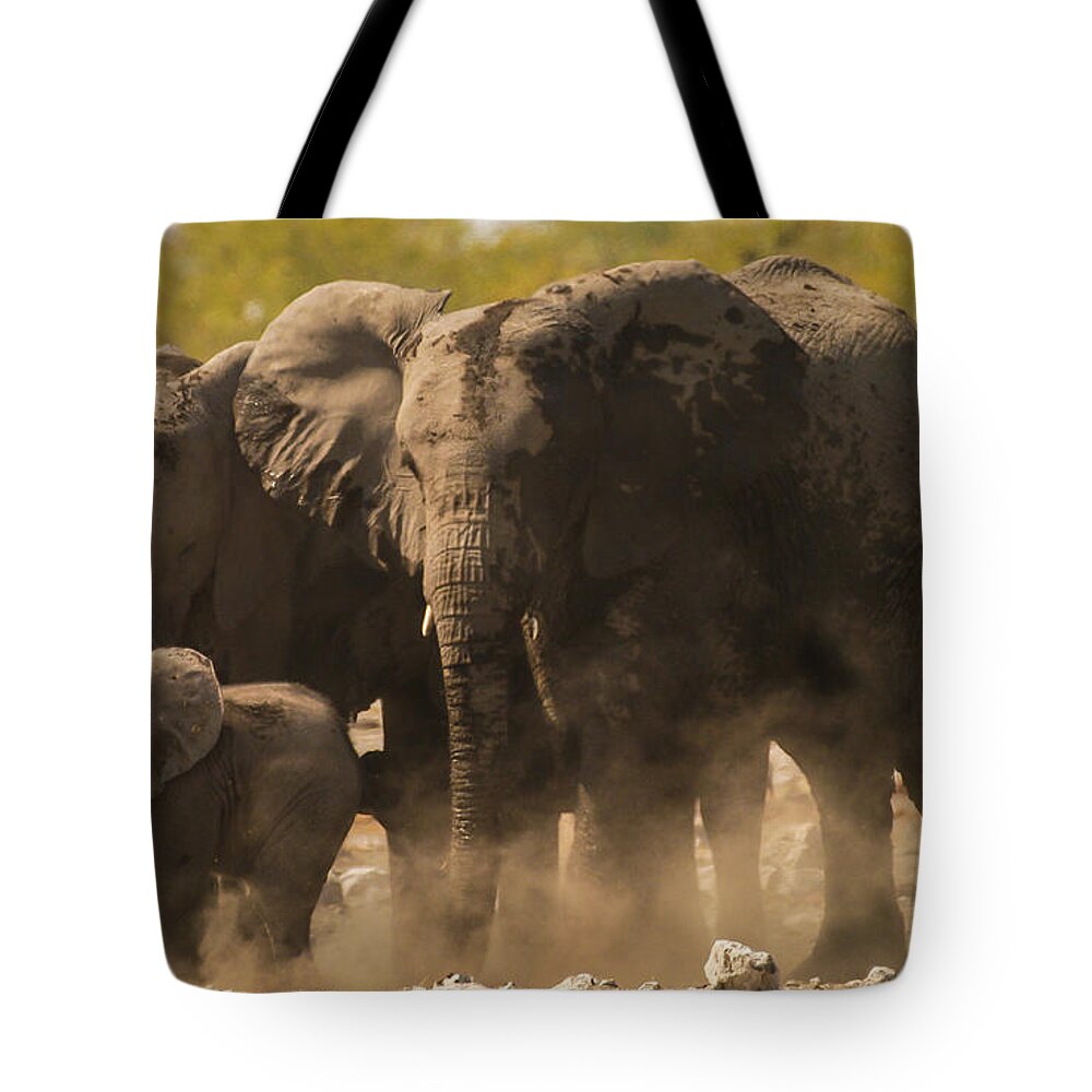 Africa Tote Bag featuring the photograph I'm up now by Alistair Lyne