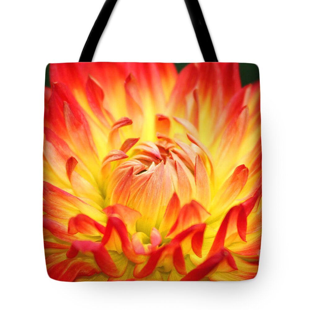 Flower Tote Bag featuring the photograph Img 0023 Flor En Rojo Detalle by Francisco Pulido