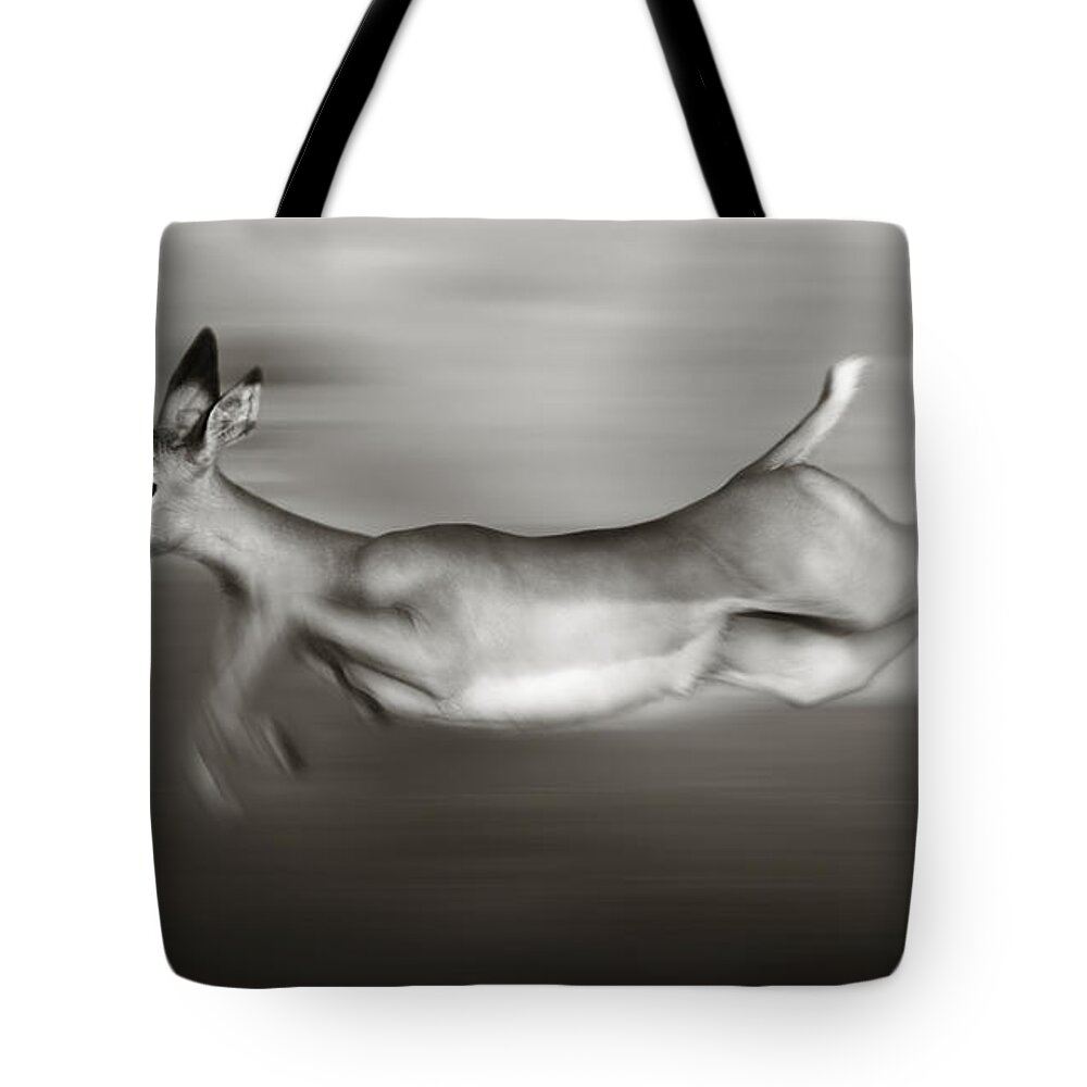 Outdoor Tote Bag featuring the photograph Impala running by Johan Swanepoel