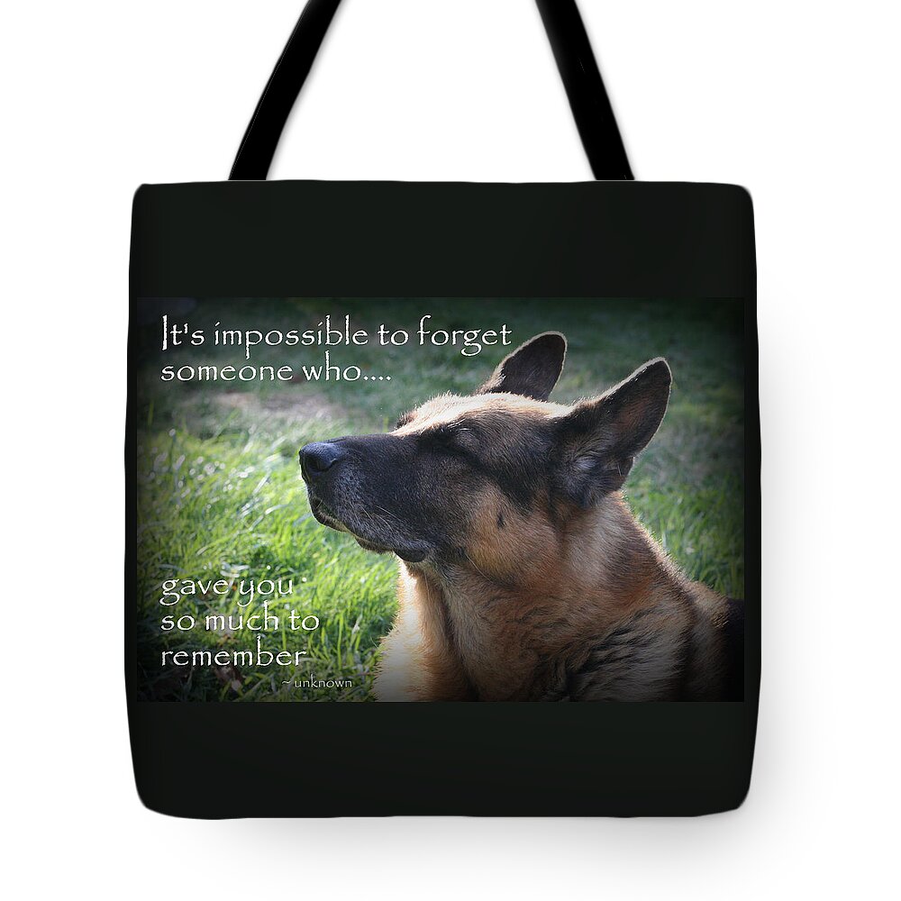 Dogs Tote Bag featuring the photograph Impossible To Forget by Sue Long