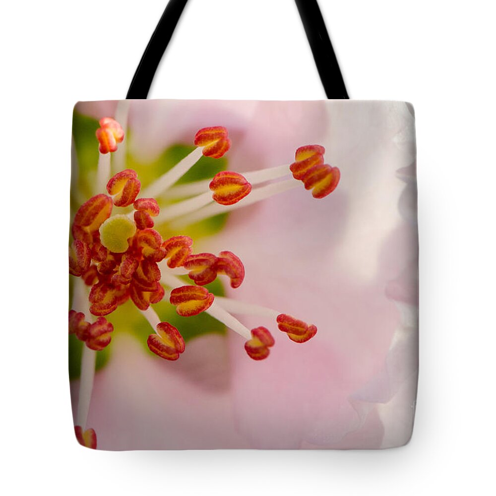 Blooms Tote Bag featuring the photograph In A Pink Cloud by Michael Arend