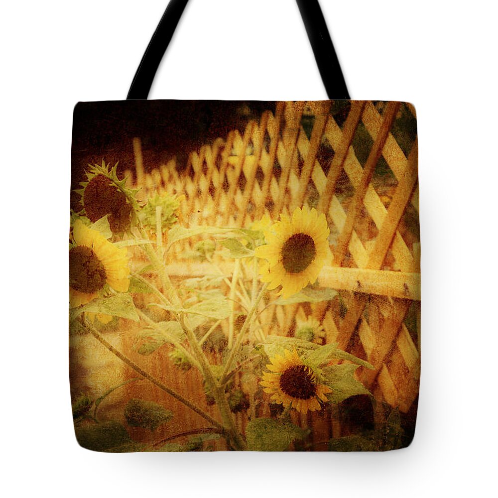 Sunflowers Tote Bag featuring the photograph Sunflowers and Lattice by Toni Hopper