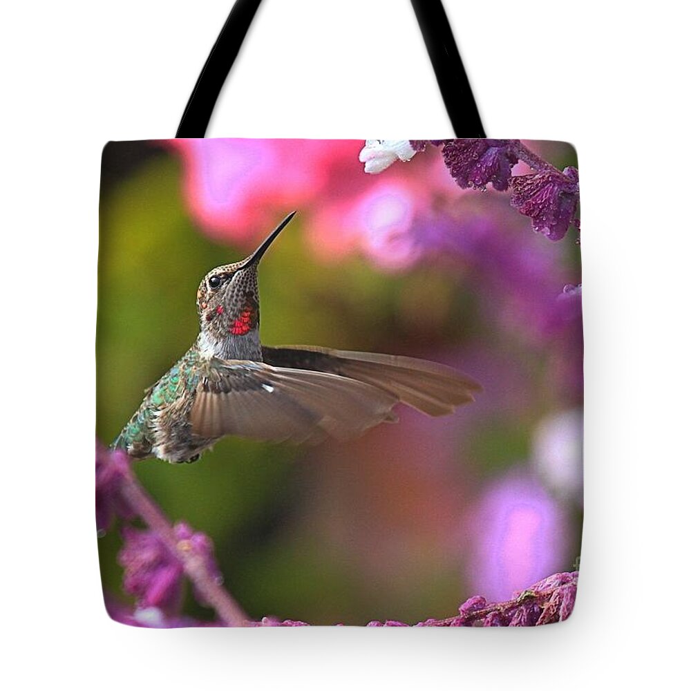 Hummingbird Tote Bag featuring the photograph In Between Meals by Adam Jewell