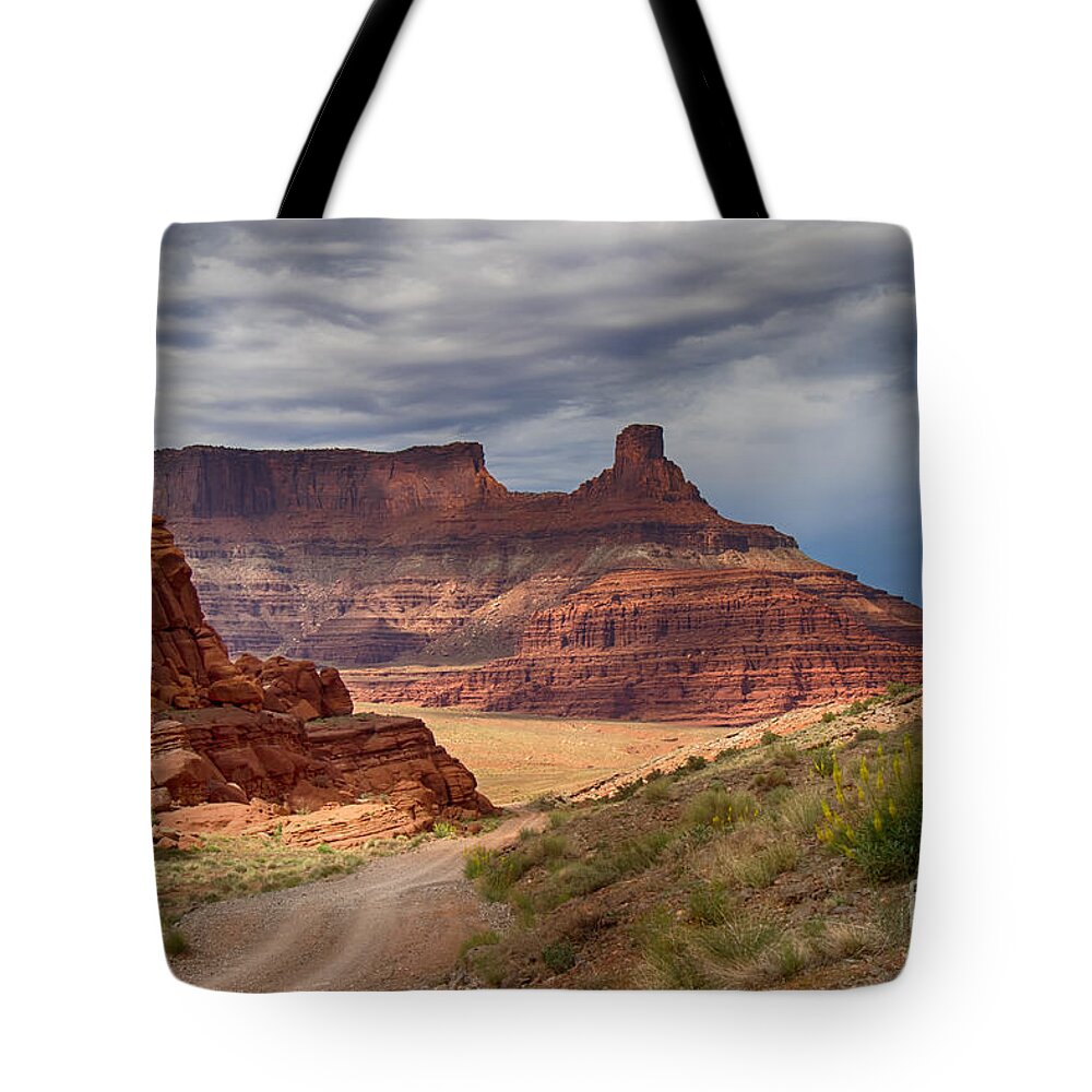 Usa Tote Bag featuring the photograph In Canyonlands NP by Juergen Klust