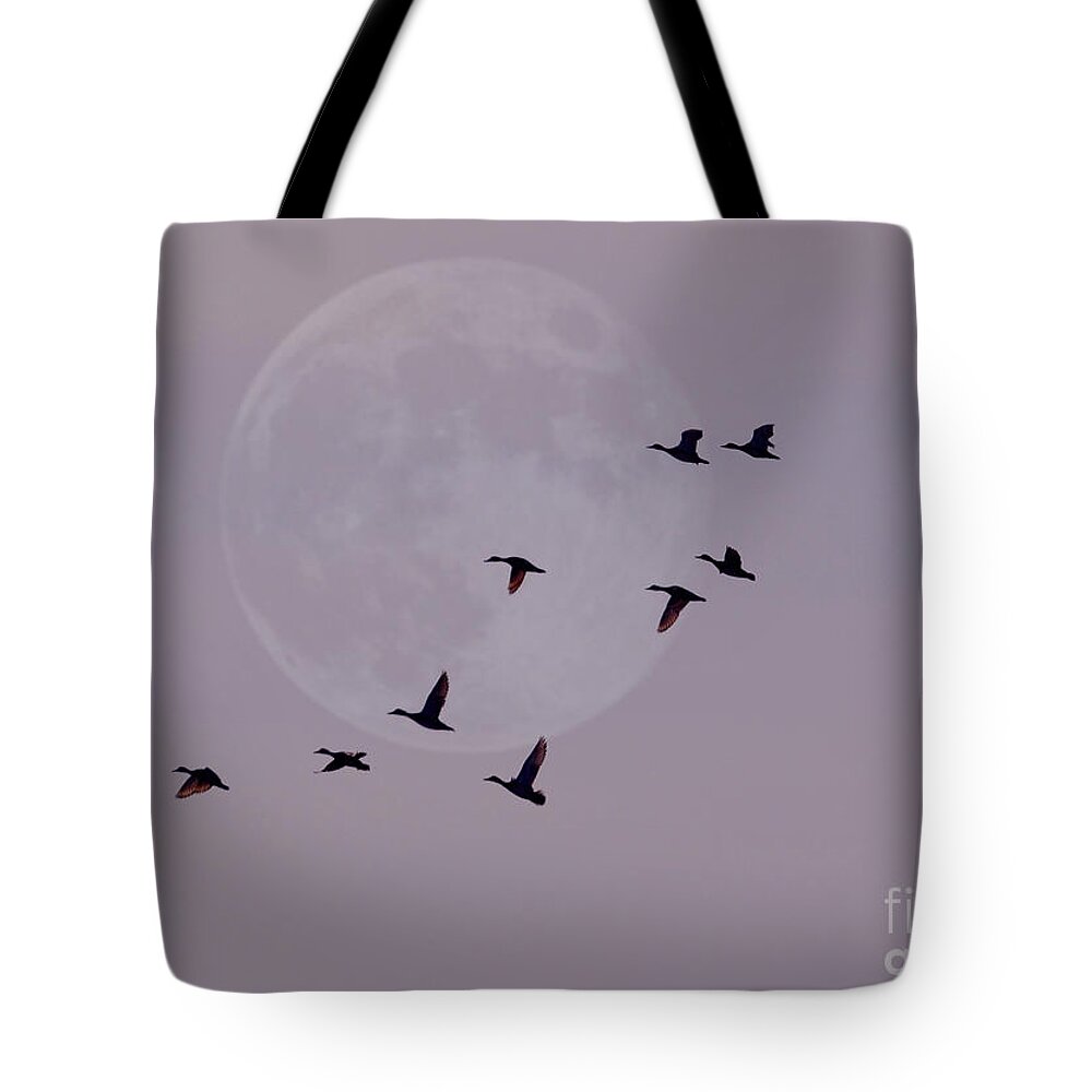 Birds Tote Bag featuring the photograph In Competition With The Moon by Kathy Baccari
