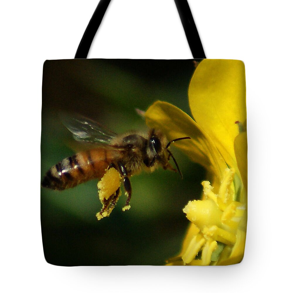Bees Tote Bag featuring the photograph In Flight by Chauncy Holmes