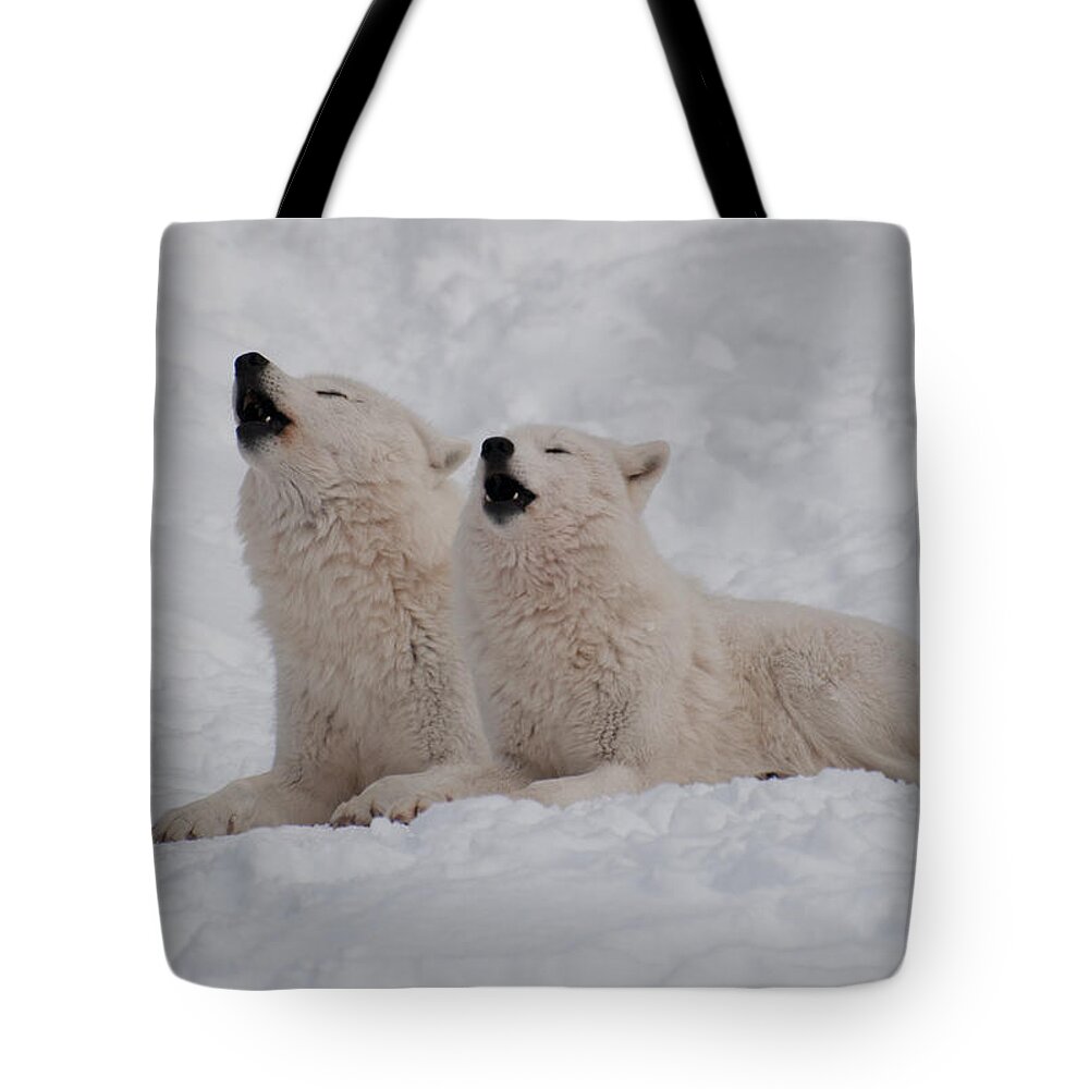 Arctic Wolf Tote Bag featuring the photograph In Harmony by Bianca Nadeau