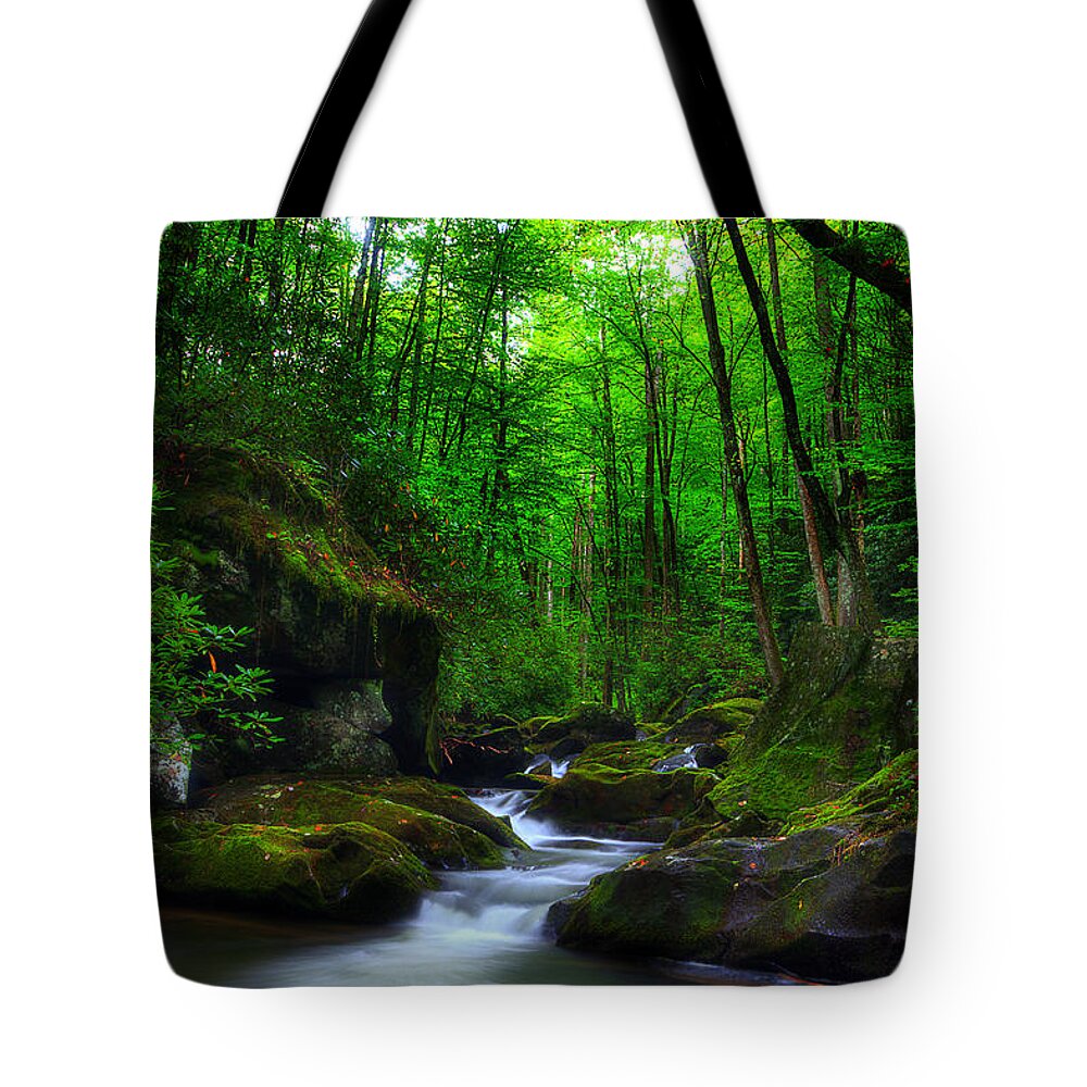 Stream Tote Bag featuring the photograph In Search Of by Michael Eingle