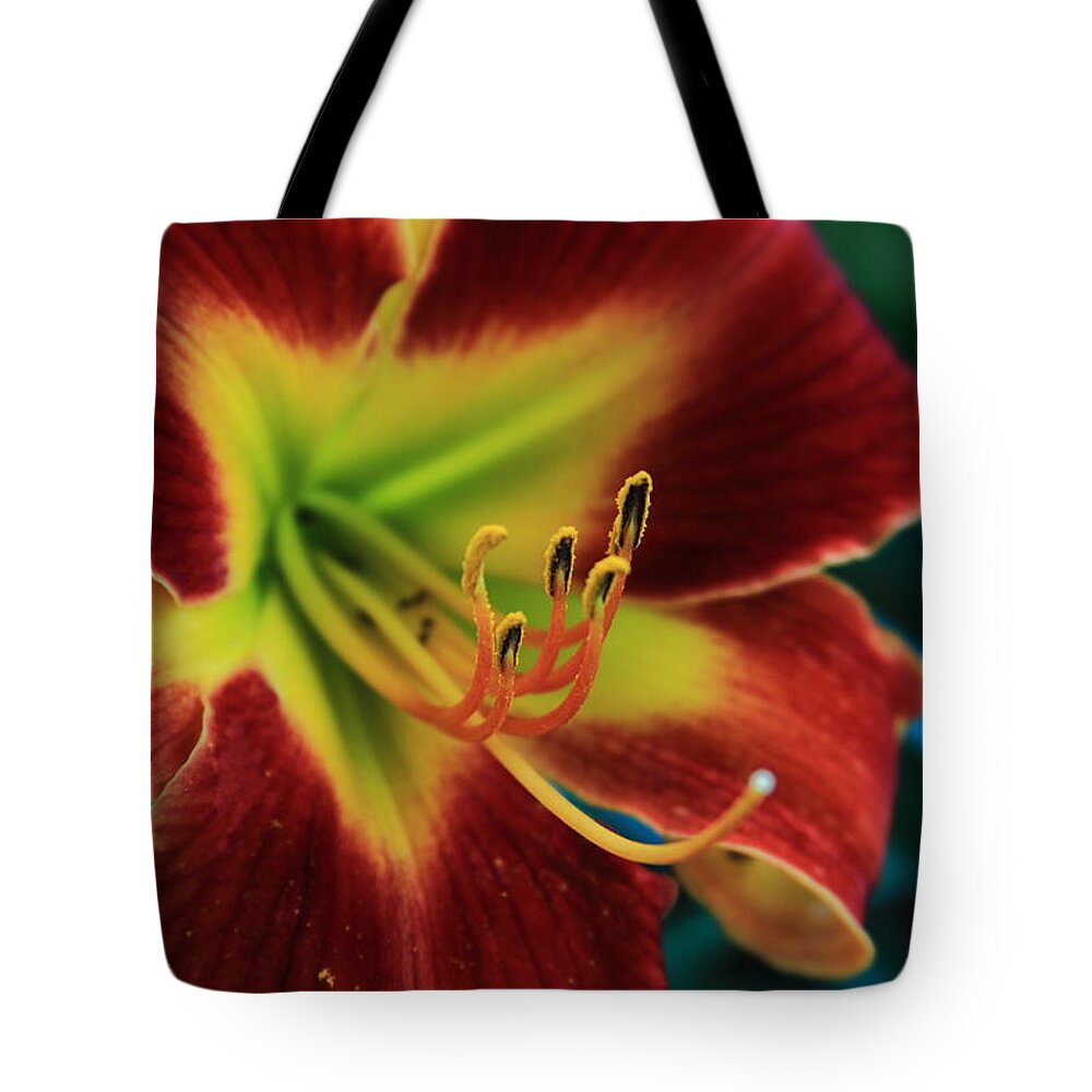 Reid Callaway Flower Tote Bag featuring the photograph In The Ant's Eye by Reid Callaway