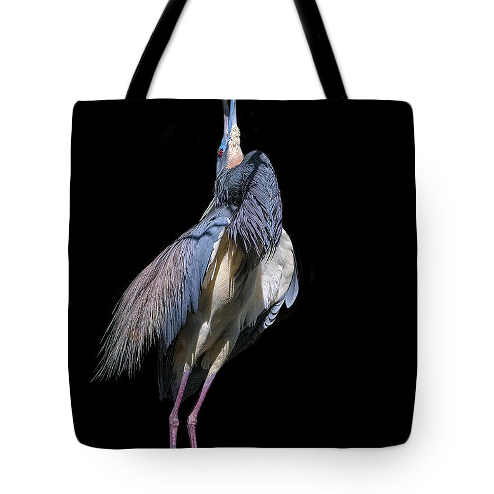 Crystal Yingling Tote Bag featuring the photograph In the Light by Ghostwinds Photography