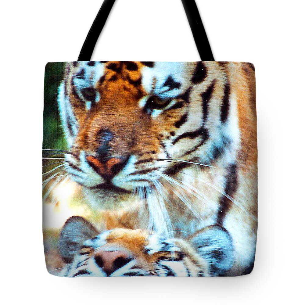 Film Tote Bag featuring the photograph In the Moment by Jennifer Robin