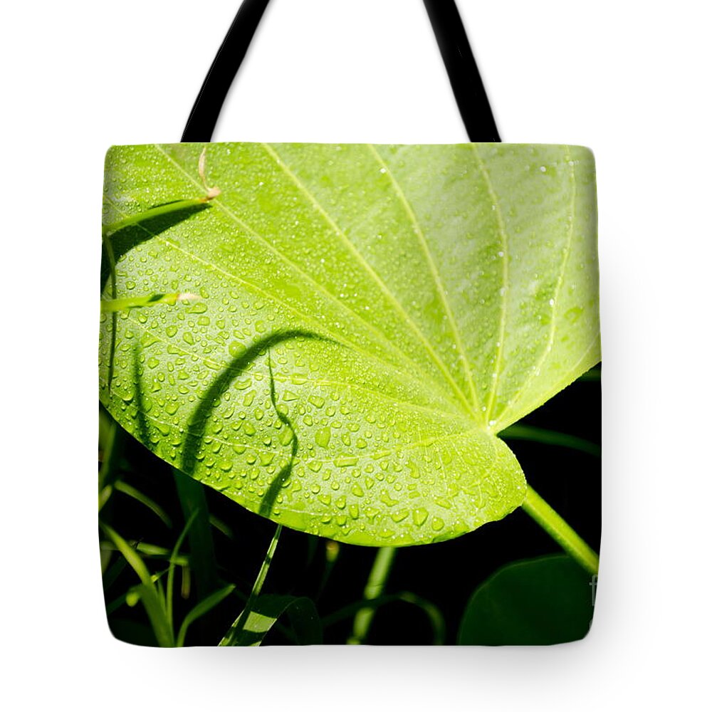 Michelle Meenawong Tote Bag featuring the photograph In The Pond by Michelle Meenawong