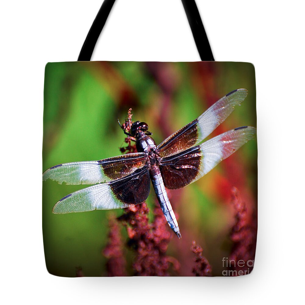 Dragonfly Tote Bag featuring the photograph In The Red by Kerri Farley