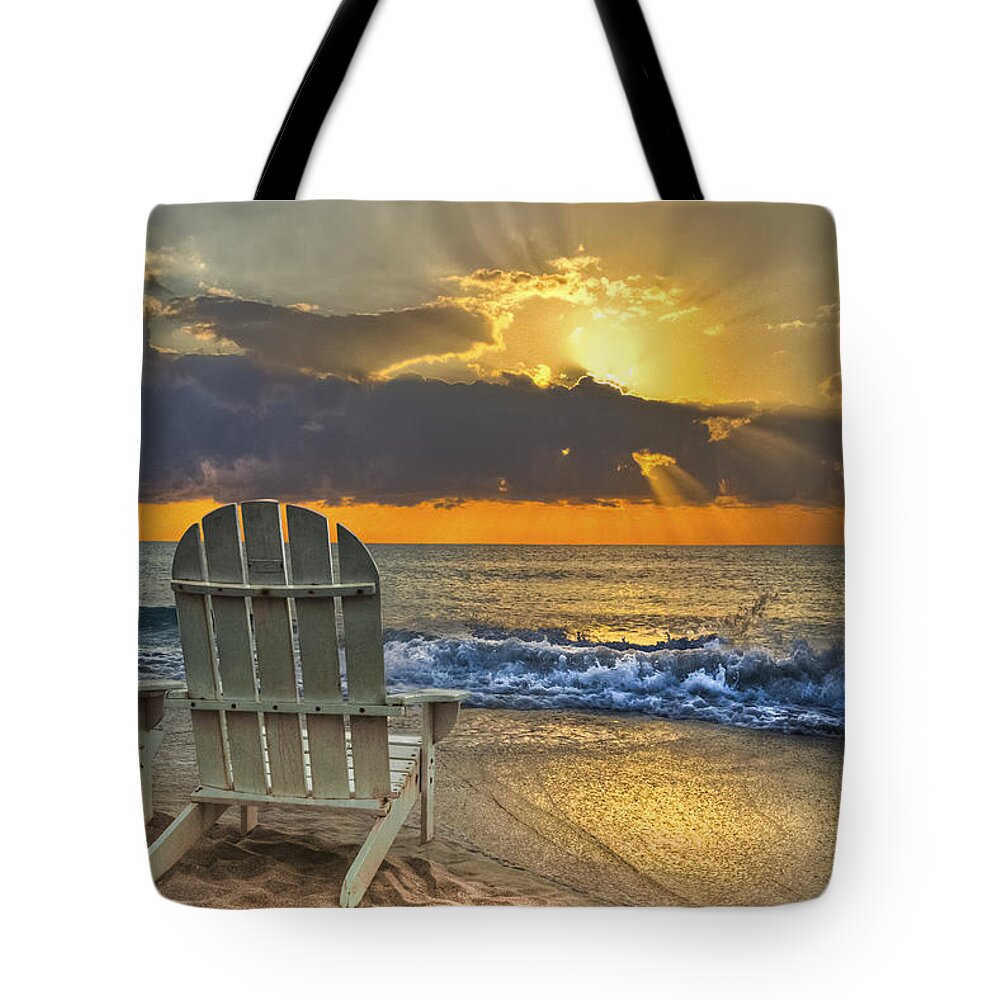 Zen Tote Bag featuring the photograph In The Spotlight by Debra and Dave Vanderlaan