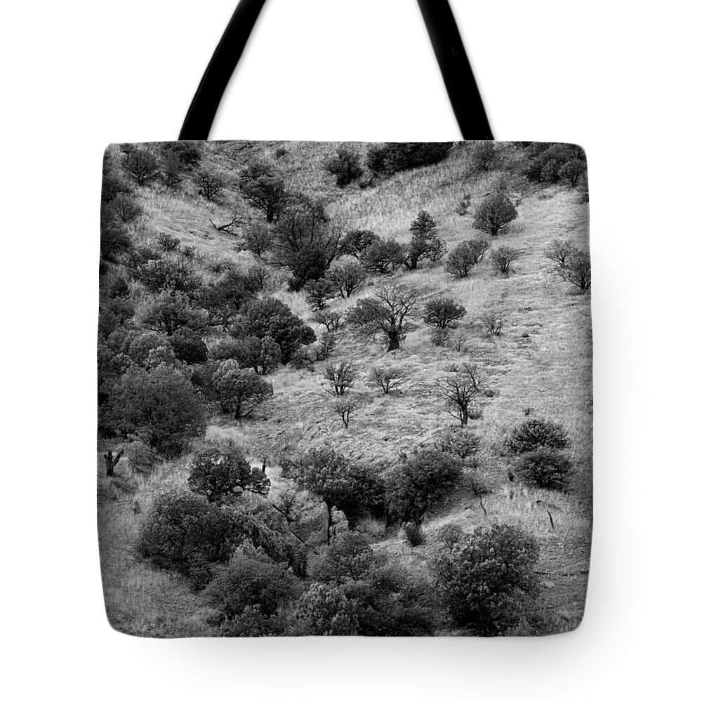 Photography Tote Bag featuring the photograph In the Valley Below by Vicki Pelham