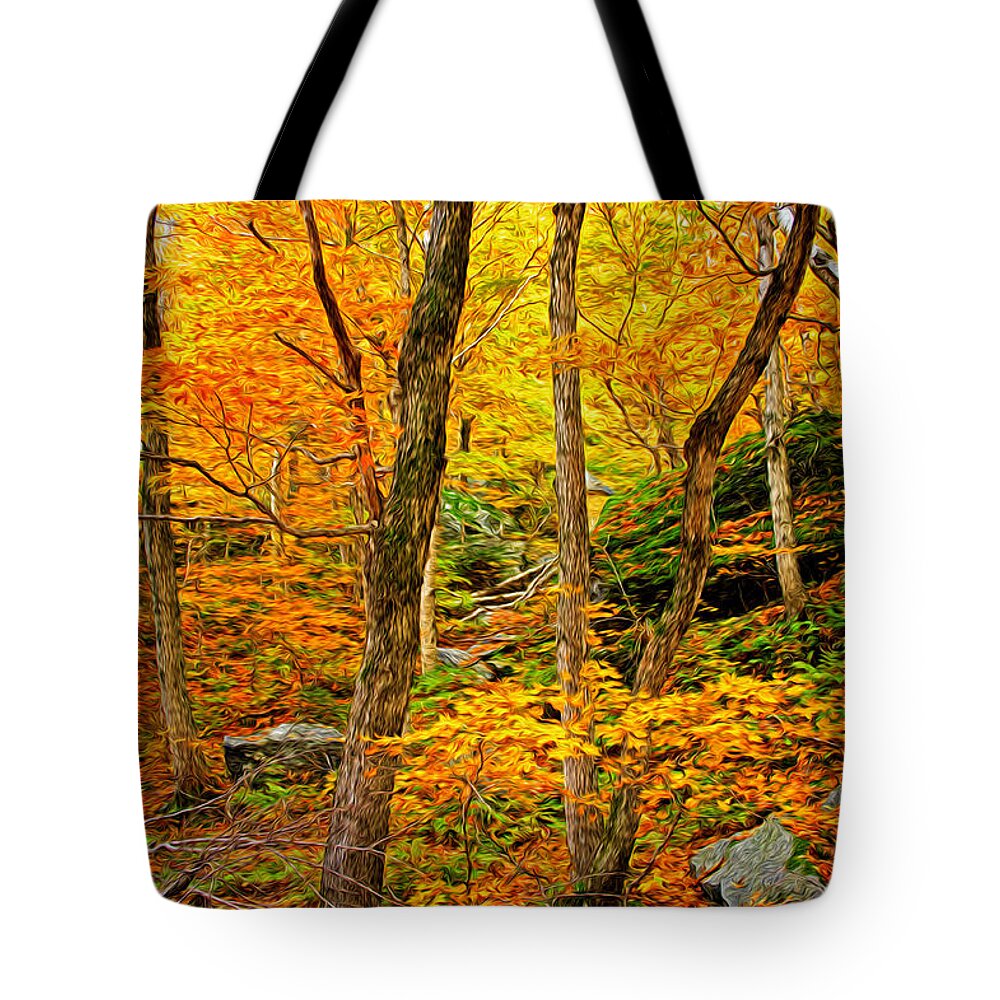 Autumn Tote Bag featuring the photograph In The Woods by Bill Howard