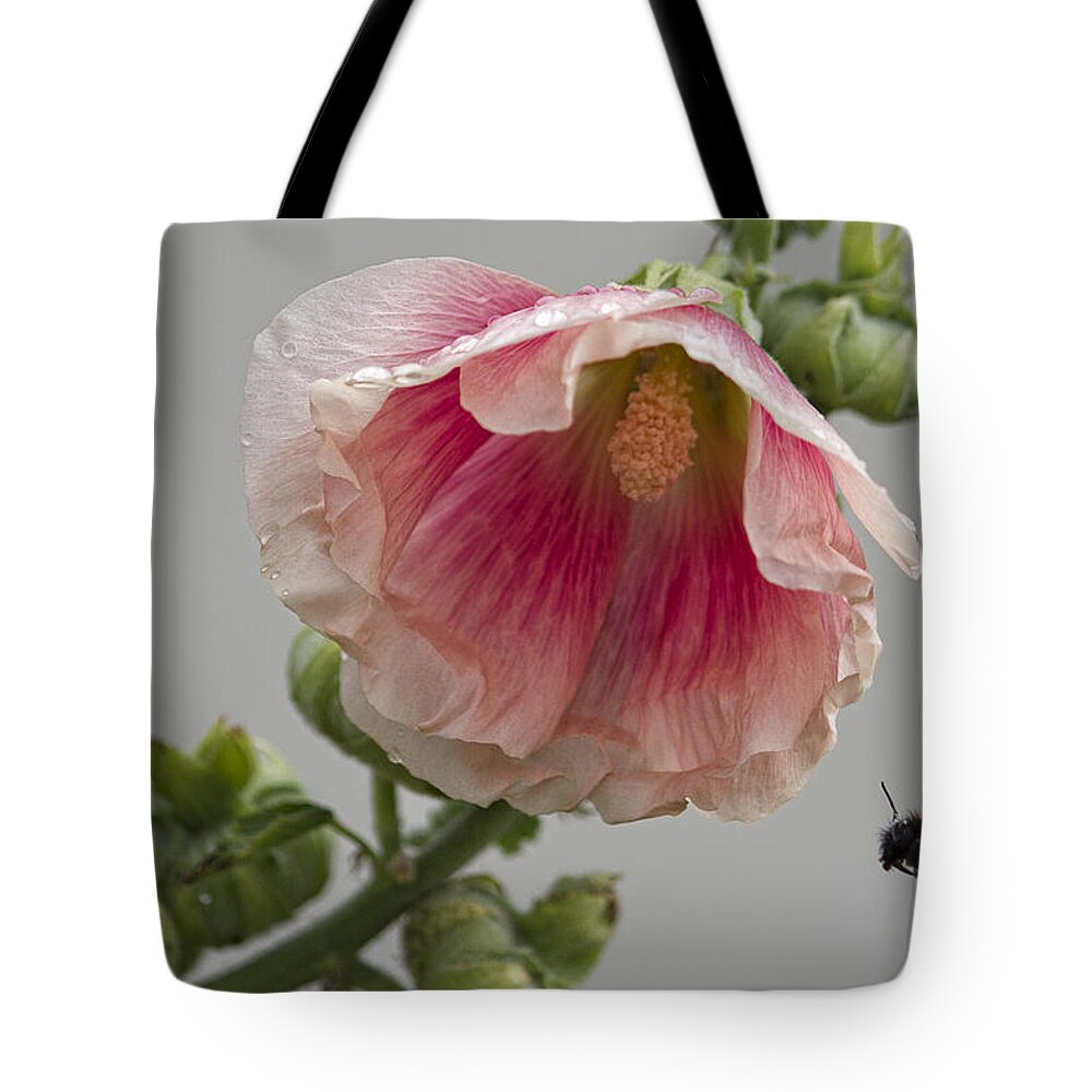  Flowersfloral Tote Bag featuring the photograph Incoming by Shirley Mitchell