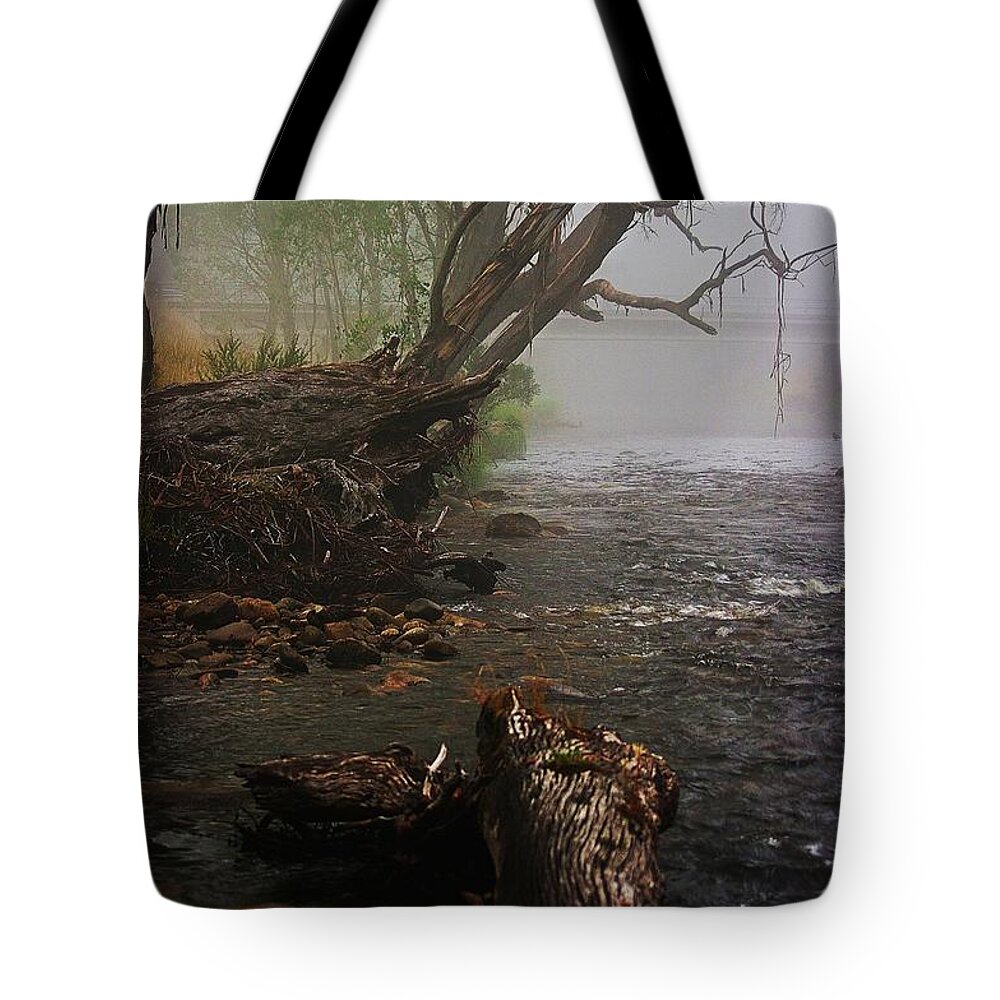 Blair Stuart Tote Bag featuring the photograph Indeed it was a Mystical Place by Blair Stuart