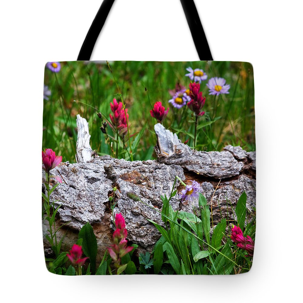 Landscapes Tote Bag featuring the photograph Indian Paintbrush by Ronda Kimbrow