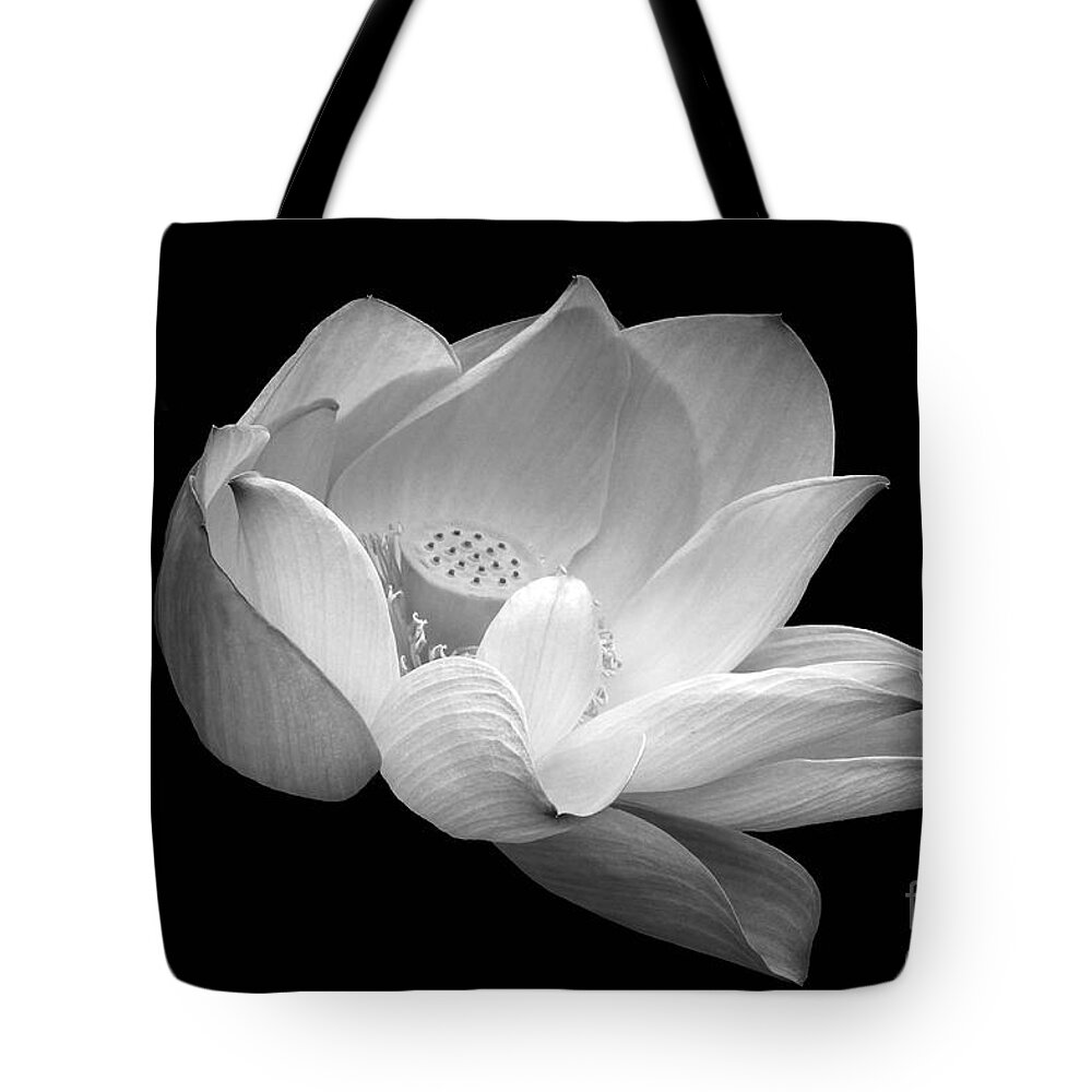 Indian Lotus Tote Bag featuring the photograph Indian Sacred Lotus in Black and White by Byron Varvarigos