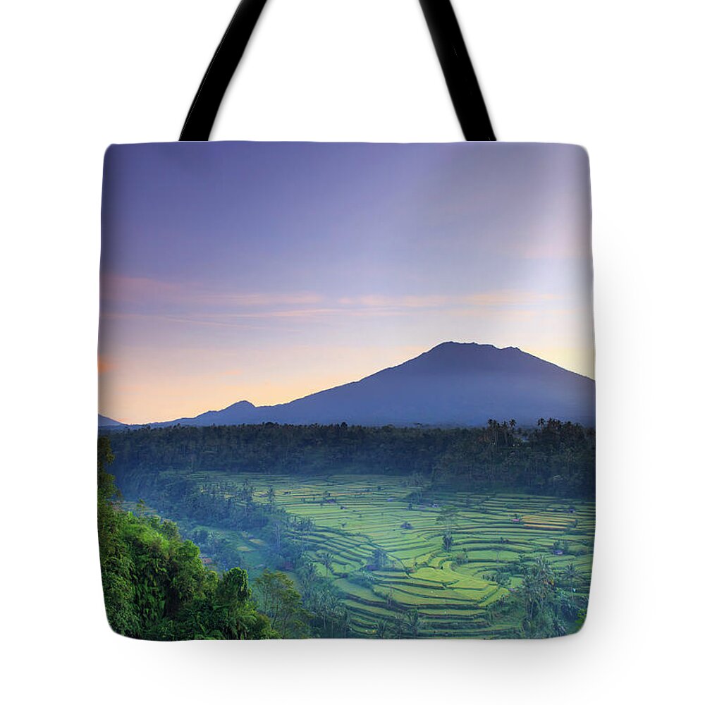 Scenics Tote Bag featuring the photograph Indonesia, Bali, Rice Fields And by Michele Falzone