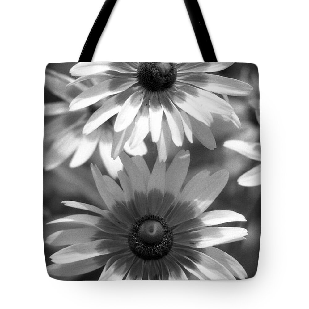 Brown-eyed Susan Tote Bag featuring the photograph Infrared - Brown-eyed Susan - Summer Light 02 by Pamela Critchlow