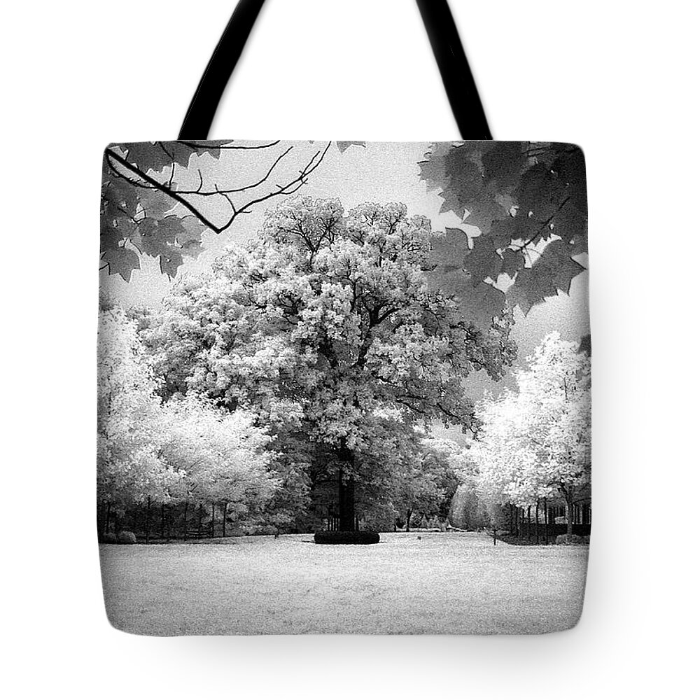 Infrared Tote Bag featuring the photograph Infrared Majesty by Andrea Platt