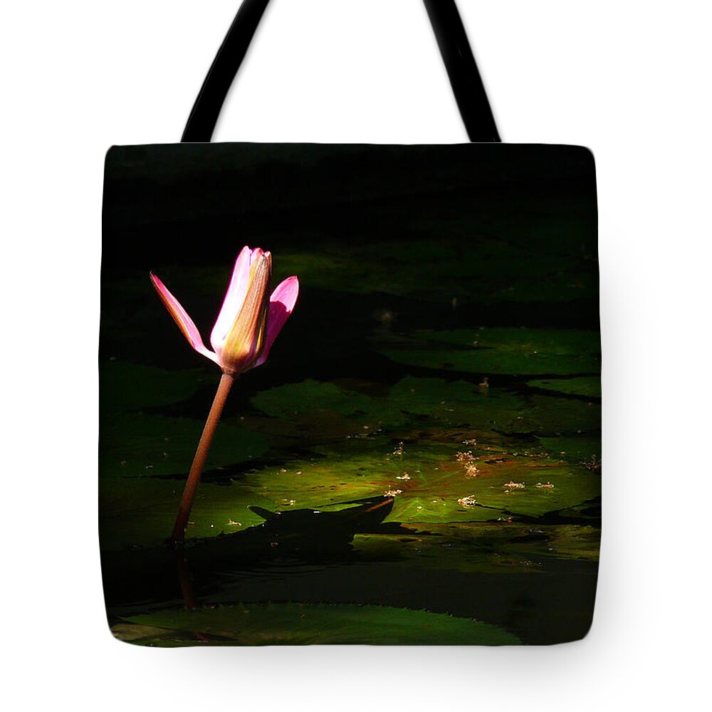 Lotus Tote Bag featuring the photograph Inner Peace by Evelyn Tambour